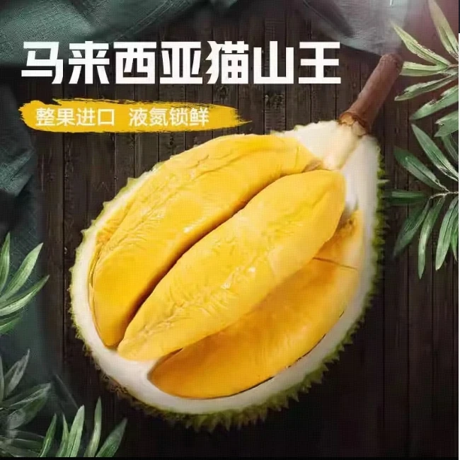D197液氮猫山王榴莲A果保4房3-5斤 顺丰包邮秋季赏味榴莲冷冻果肉