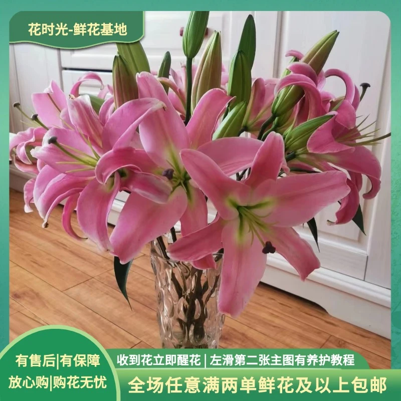 【普拉芬多】普拉芬多香水百合  |  全场任意满两单鲜花包邮