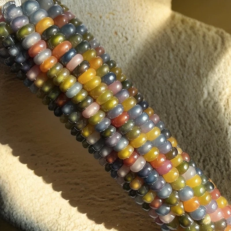 文玩玉米补差价专用 无实物 慎重下单 感谢配合