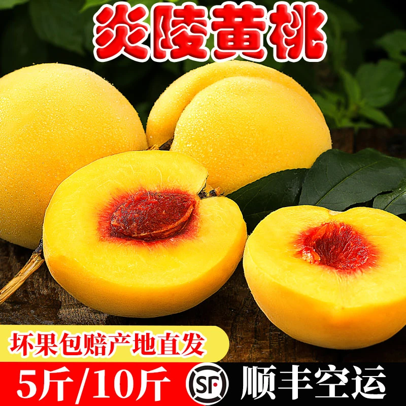 【顺丰包邮】正宗湖南炎陵黄桃产地直发新鲜采摘5/10斤礼盒装锦绣