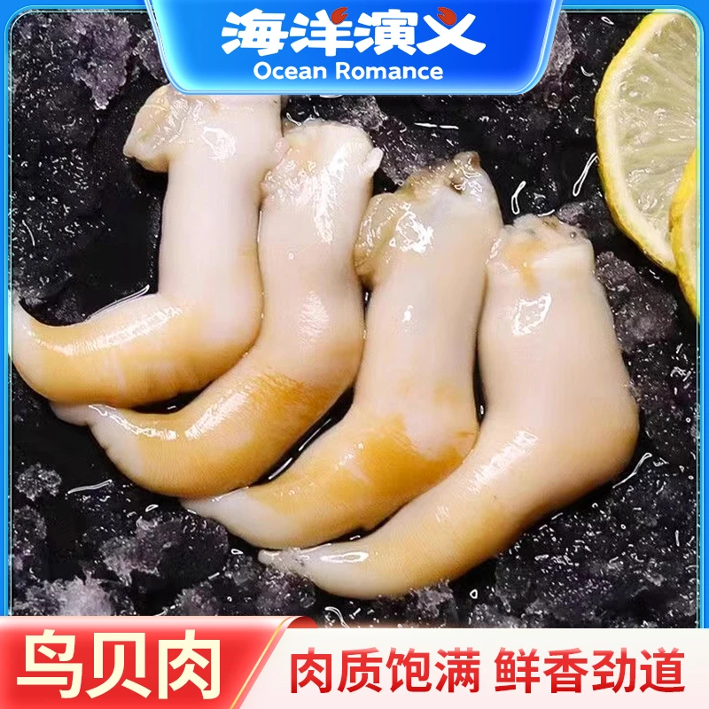 海洋演义 新鲜速冻去壳鸟贝肉 200g/包*3包