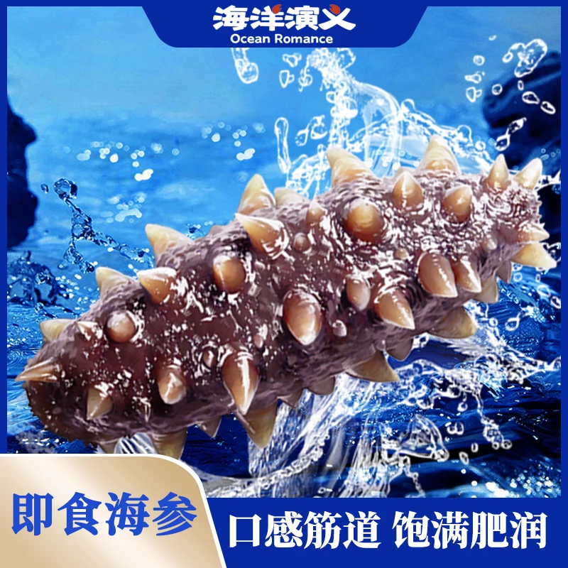 【精选】海洋演义 即食海参（8-10头）500g/包*3包
