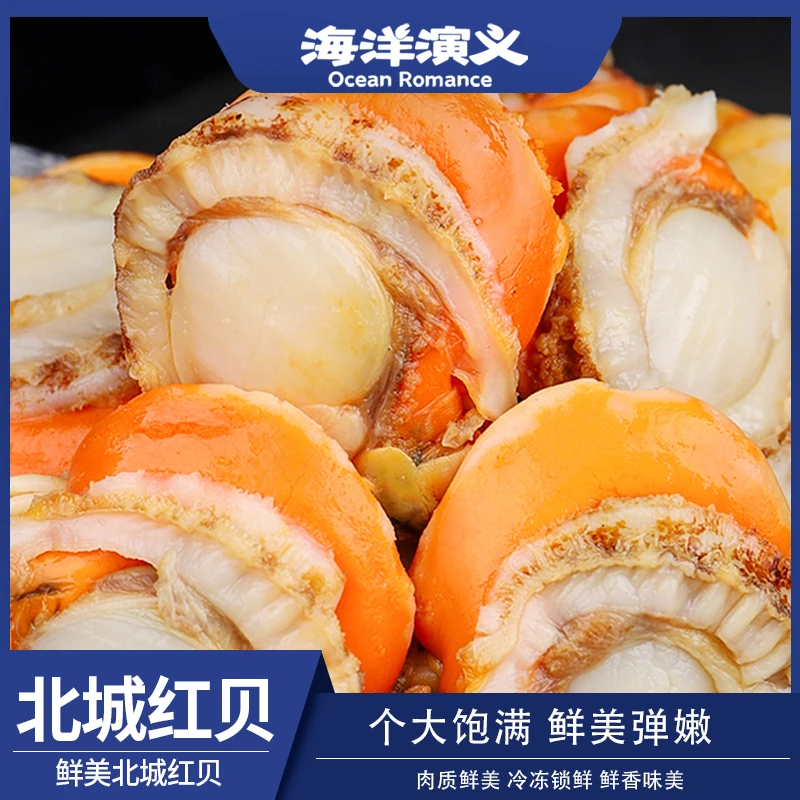 海洋演义 20/40扇贝肉 大个 无沙 味道鲜美足斤足量 200g/包*10包
