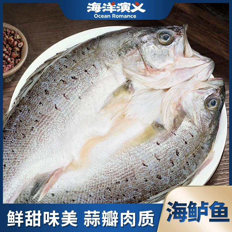 海洋演义 盐渍海鲈鱼 肉质鲜美 口感细腻 腌制冷冻400g/条*6条