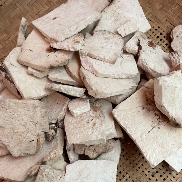 【野生茯神】云南特产 村长推荐大山林下采挖