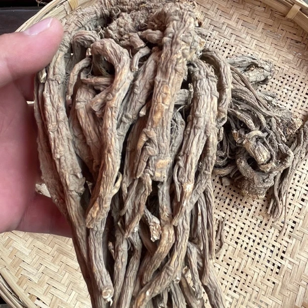 【山货当归】云南特产 村长推荐煲汤好物