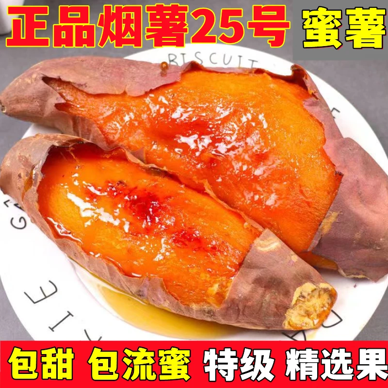 山东烟薯25号红薯烤地瓜心糖稀软瓤流油8蜜薯大小蜜薯种1-5斤