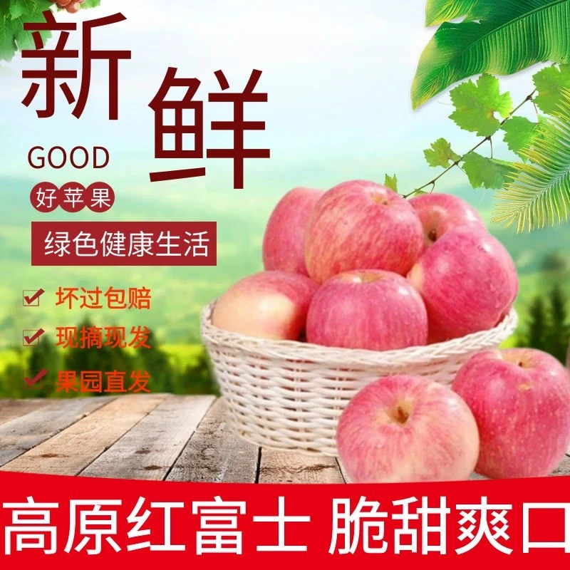 2025甘肃庆阳新鲜红富士苹果果真好现摘脆甜健康酸甜水果送礼整箱