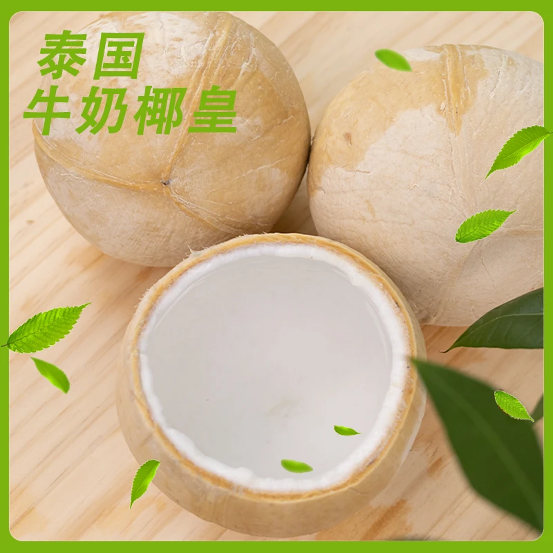 正宗泰国进口椰皇鲜嫩椰子清甜中果6/9颗装【单果500g/颗】顺丰包邮
