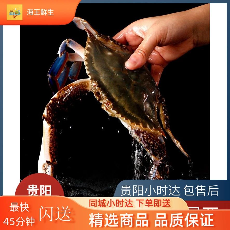 【鲜活蟹】鲜活梭子蟹