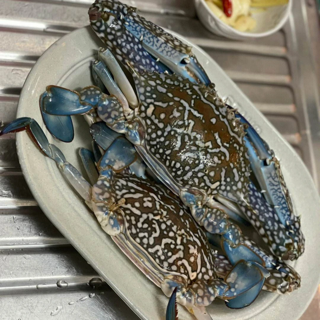 【鲜活蟹】鲜活海捕蓝花蟹/6-8两1只/G【保鲜不保活】