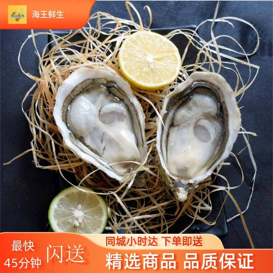 生蚝鲍鱼带子加工(含海鲜) 【贝类加工】【海鲜加工】