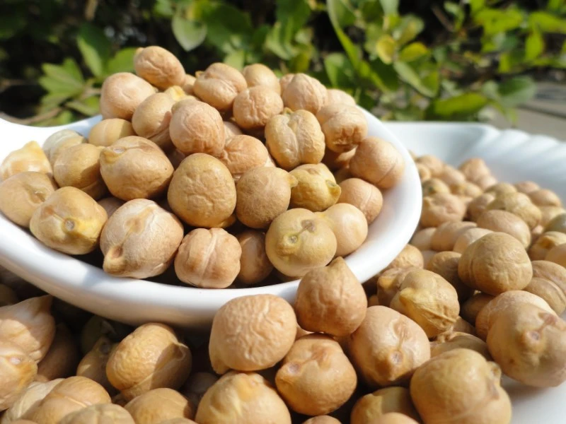 苗苗家（鹰嘴豆）（二斤/五斤/十斤）