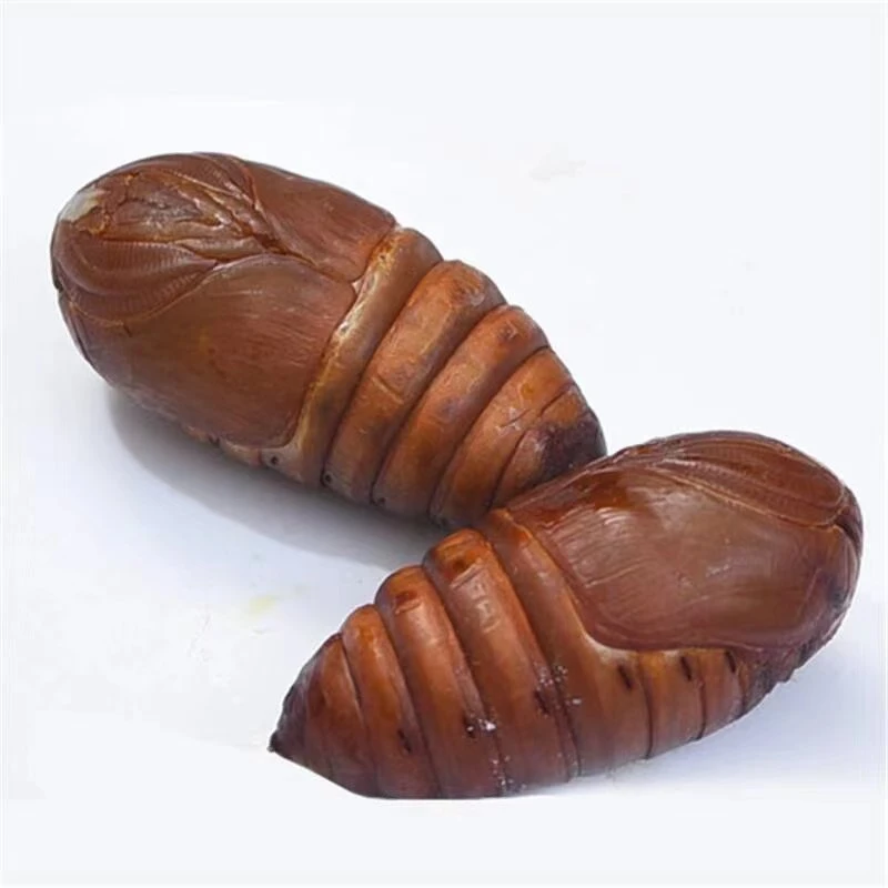 冰鲜蚕蛹约250g