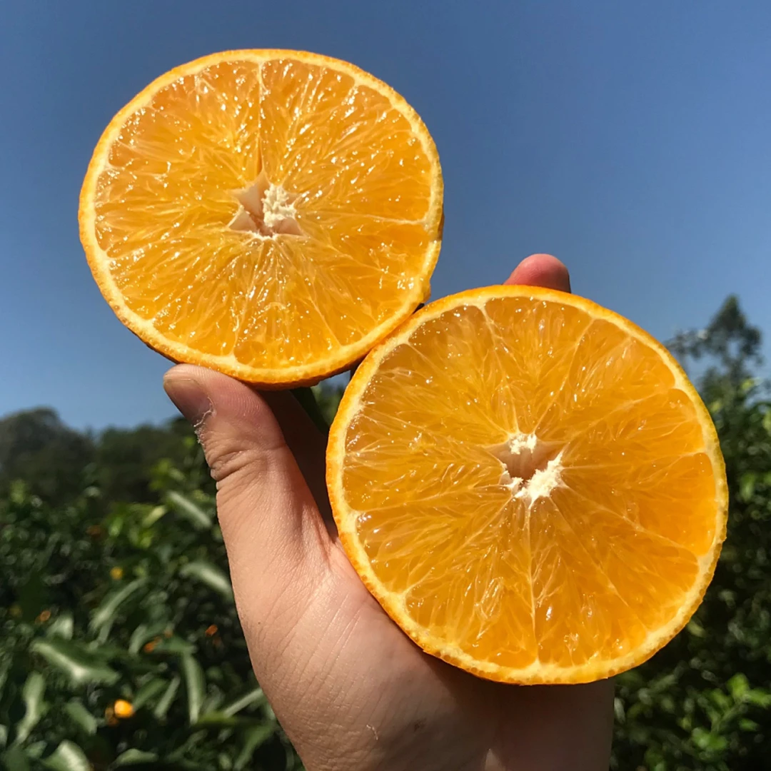 爱媛38号果冻橙新鲜橙子水果当季整箱批发四川应季甜橙子皮薄肉厚