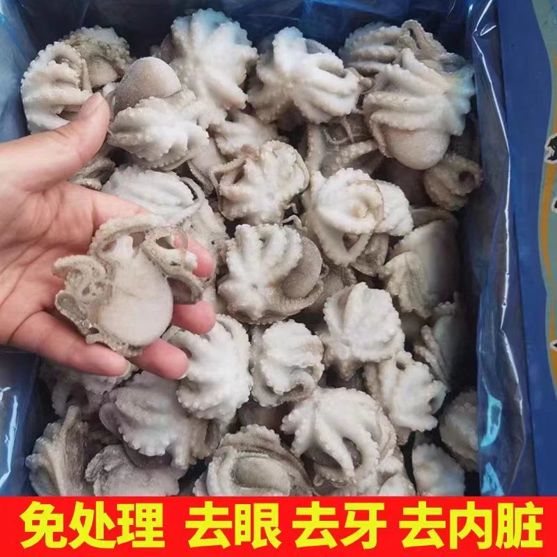 新鲜八爪鱼锁鲜熟冻小章鱼迷你短腿八抓鱼大爆头去内脏捞汁小海鲜