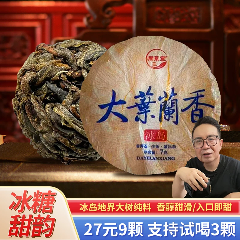 【老九好茶】大葉蘭香冰岛生茶龙珠 条索整齐 普洱茶 源头茶厂