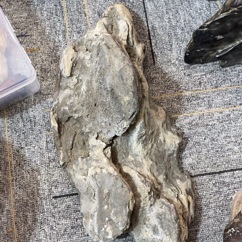 【闪购商品】陶瓷杯l****l