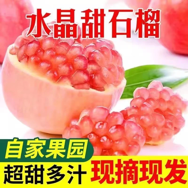 蒙自老树绿籽甜石榴鲜甜多汁绿籽薄皮原产地3-9斤自然成熟高山香