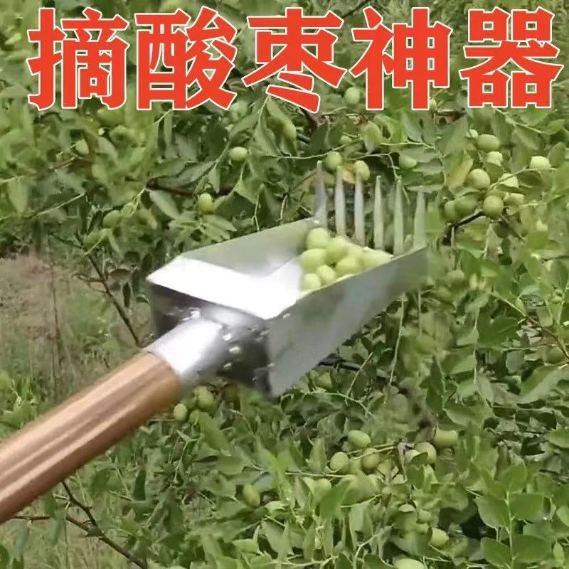 2023新款摘酸枣神器摘果器采果器高枝摘山枣野果小果工具不扎手