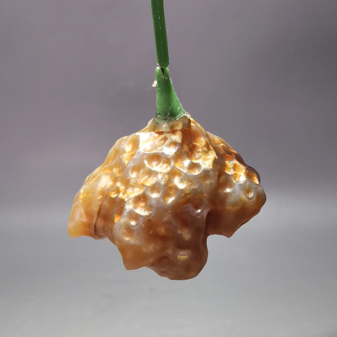 阿拉善戈壁奇石，直播付款，图片非卖品