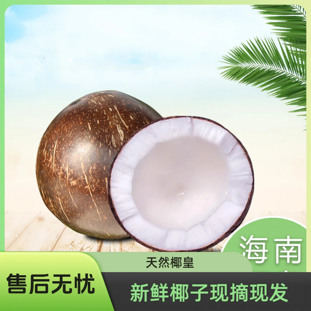 海南椰皇当天摘纯天然椰子打磨椰皇6个装孕妇小孩饮品坏果包赔