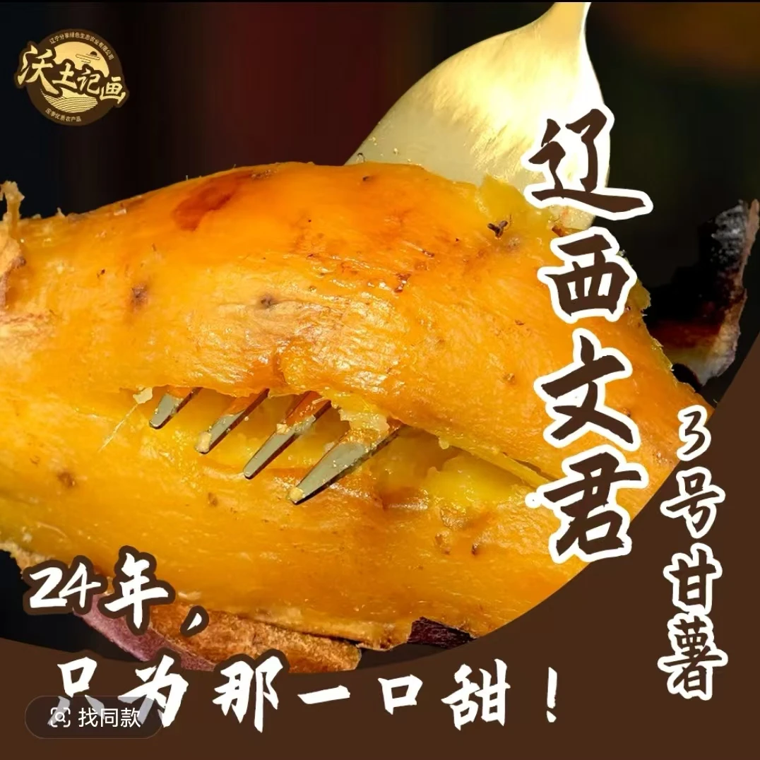 辽西文君3号红瑶薯健康种植软糯甜蜜地瓜净重4.5斤肉厚东北