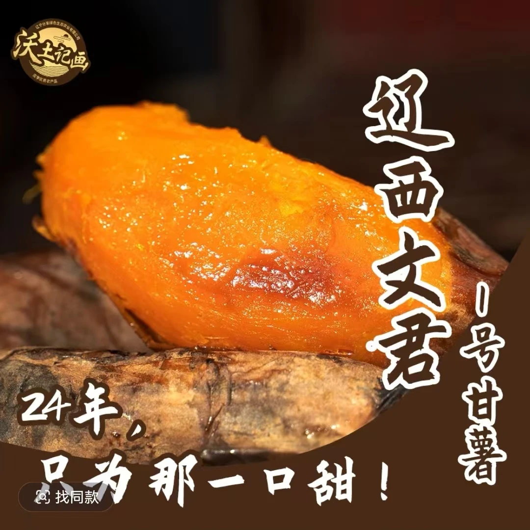 辽西文君甘薯1号精品薯净重4.5斤健康种植很甜红薯烟薯25号