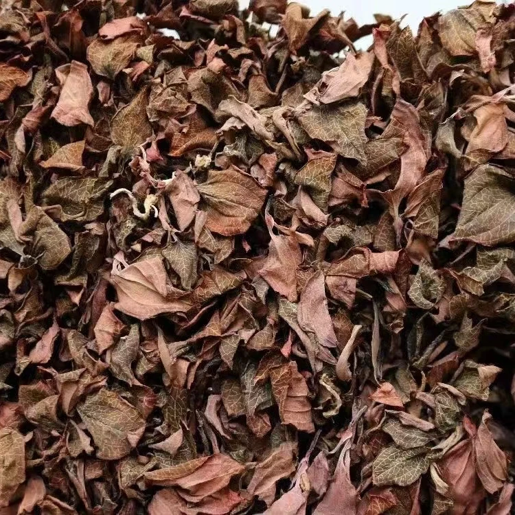 金线莲一盒（30克）