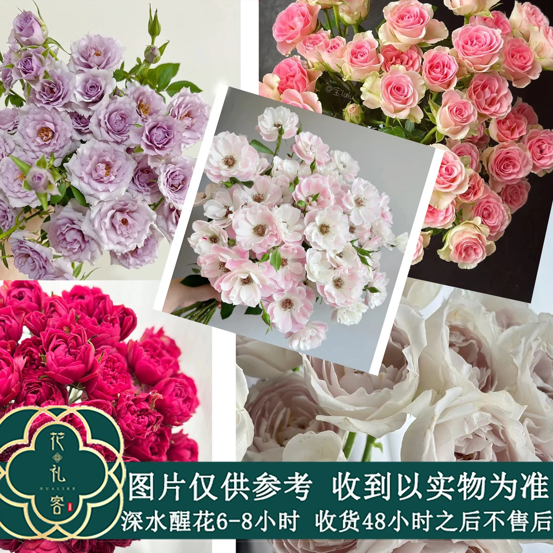 七叶花坊#基地玫瑰小众品种自选 鲜花优选 顺丰直发