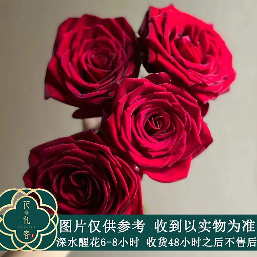 七叶花坊#单头玫瑰 【爱慕】云南高品质鲜花 顺丰植发