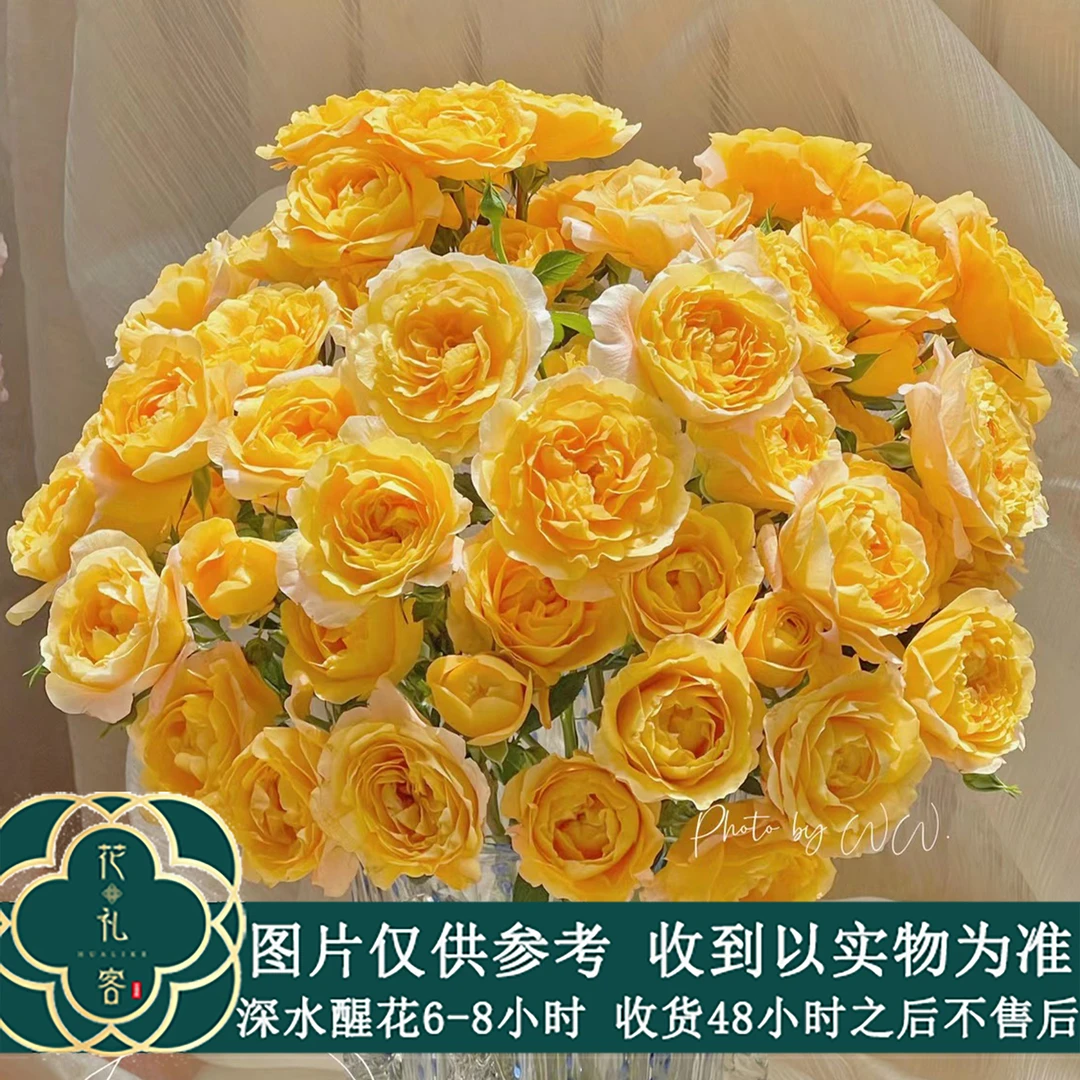 七叶花坊#多头玫瑰 【橙汁阳台】鲜花优选 顺丰直发玫瑰花修剪养护