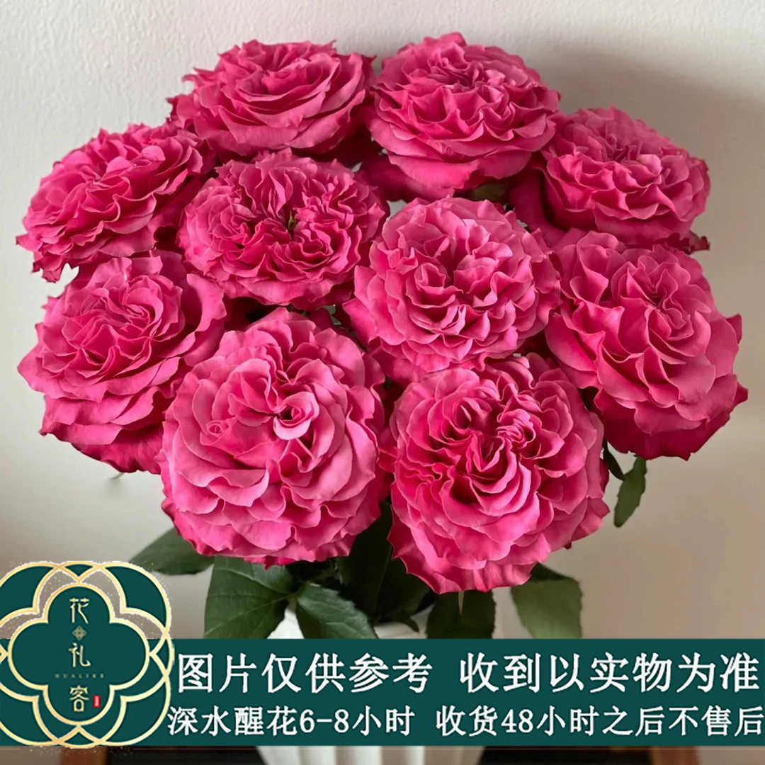 花礼客#单头玫瑰 【蓝调】鲜花优选 顺丰直发