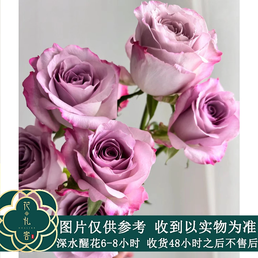 七叶花坊#多头玫瑰 【多头气场】鲜花优选 顺丰直发 玫瑰花养护