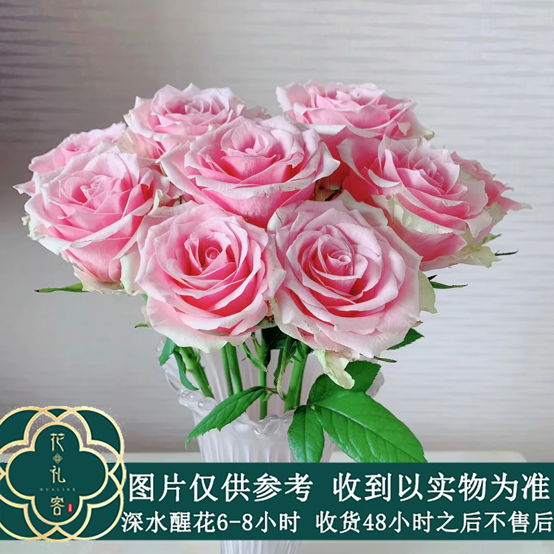 【阿曼达】方德-嘉荷系A级单头玫瑰 鲜花优选 顺丰直发