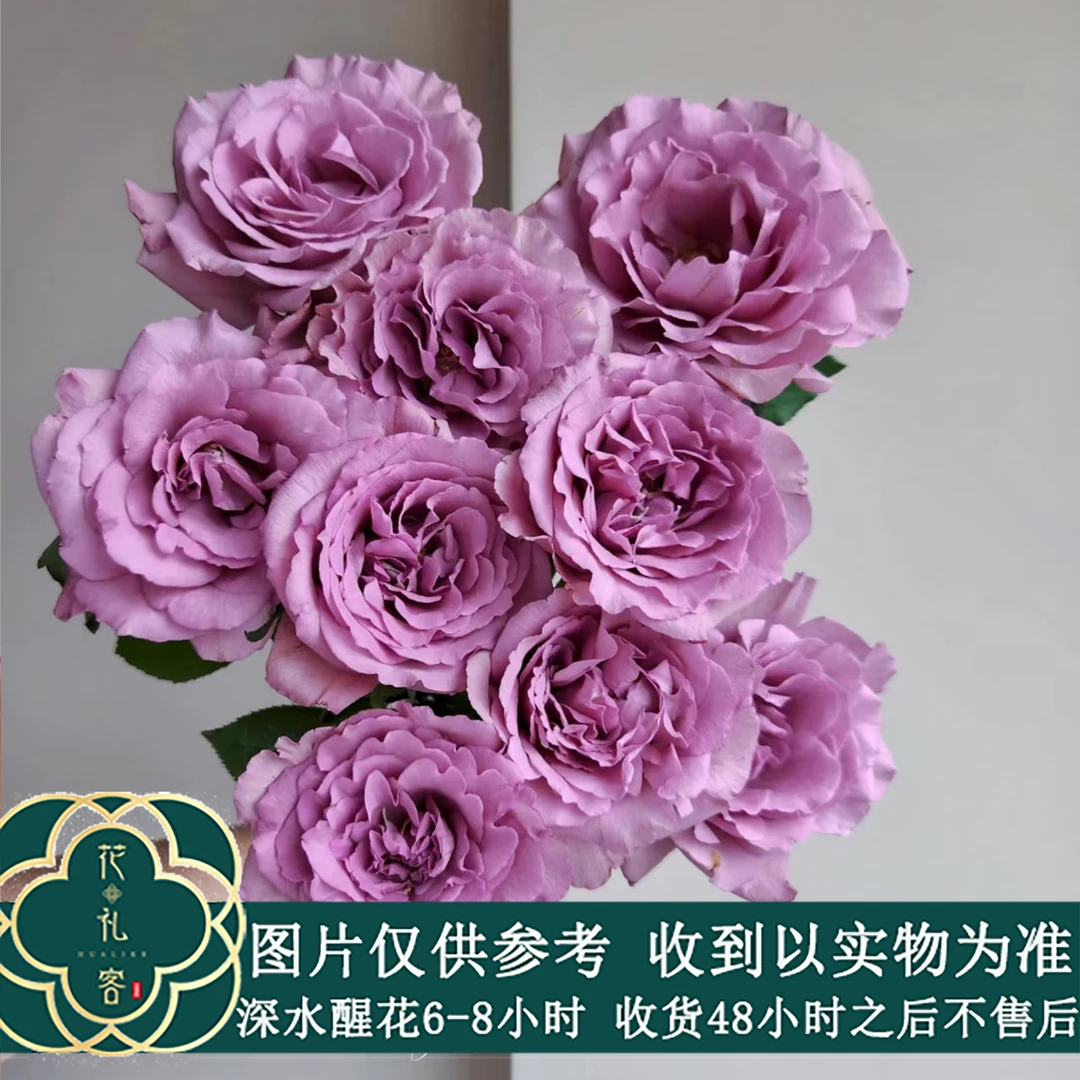 七叶花坊# 【暮光之城】云南品质鲜花优选 顺丰直发