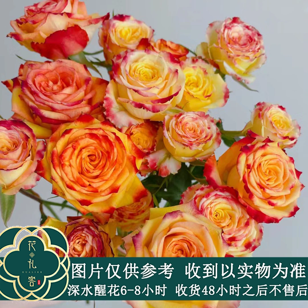七叶花坊#多头玫瑰 【眼线】鲜花优选 顺丰直发