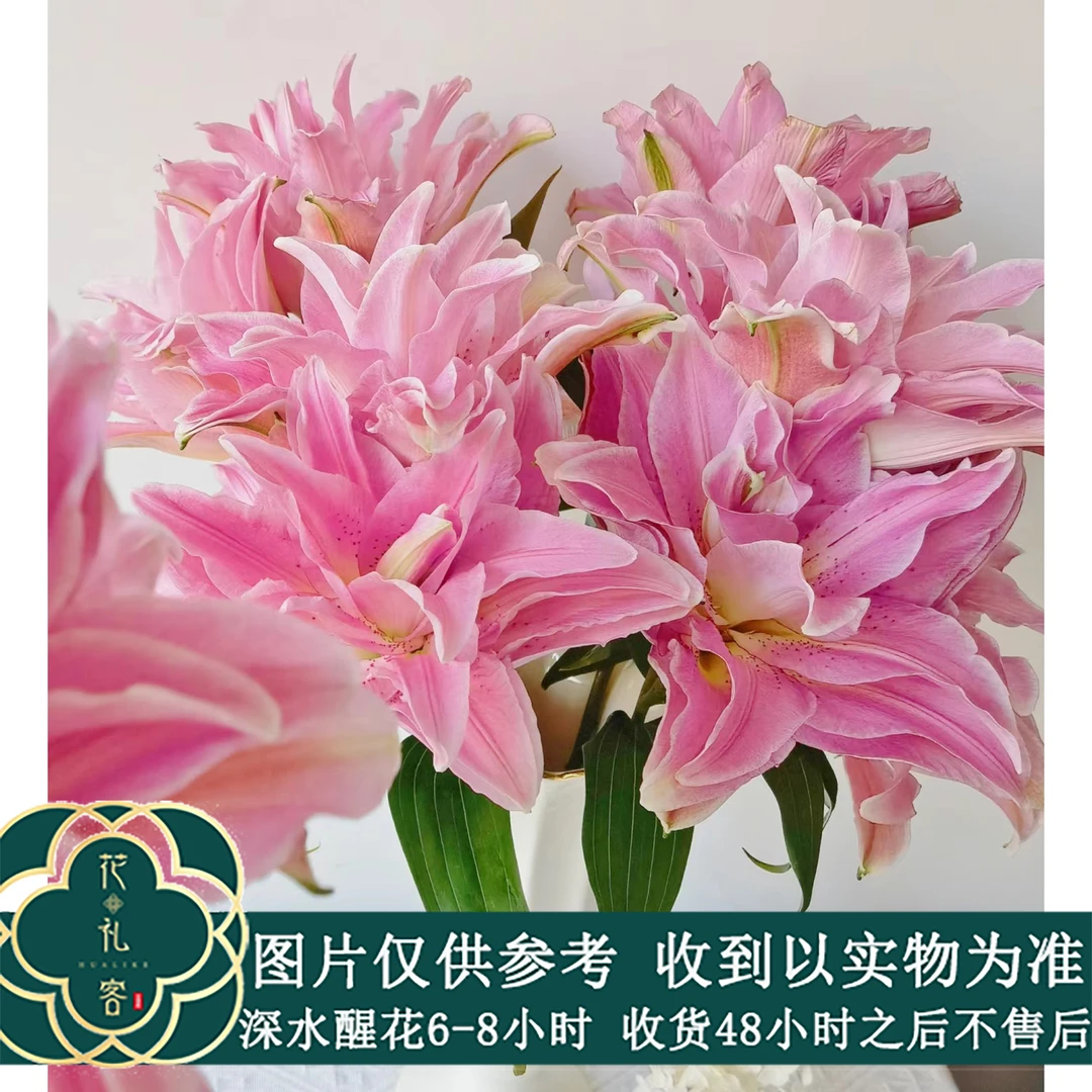 七叶花坊# 【红蜜糖】重瓣百合清香 顺丰直发玫瑰花