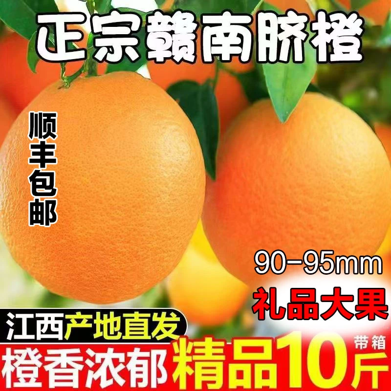 【顺丰包邮礼品果送人有面子】赣南脐橙硕果原产地新鲜香甜细腻皮薄