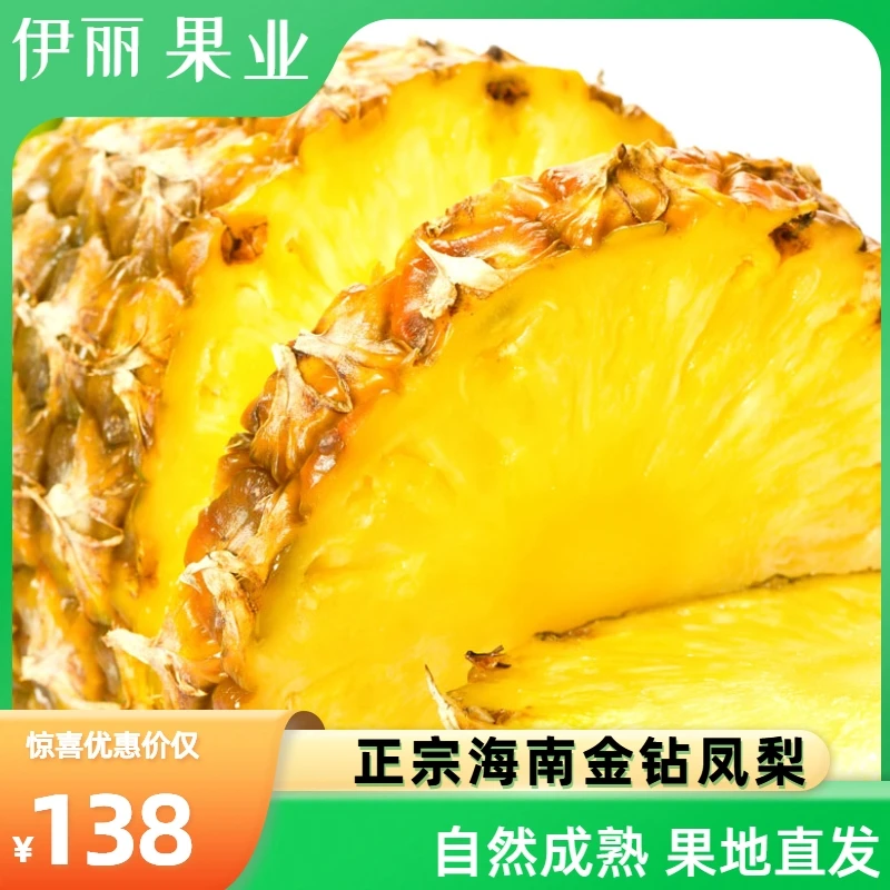 海南金钻凤梨10-12斤精品礼盒装新鲜纯甜果园直发