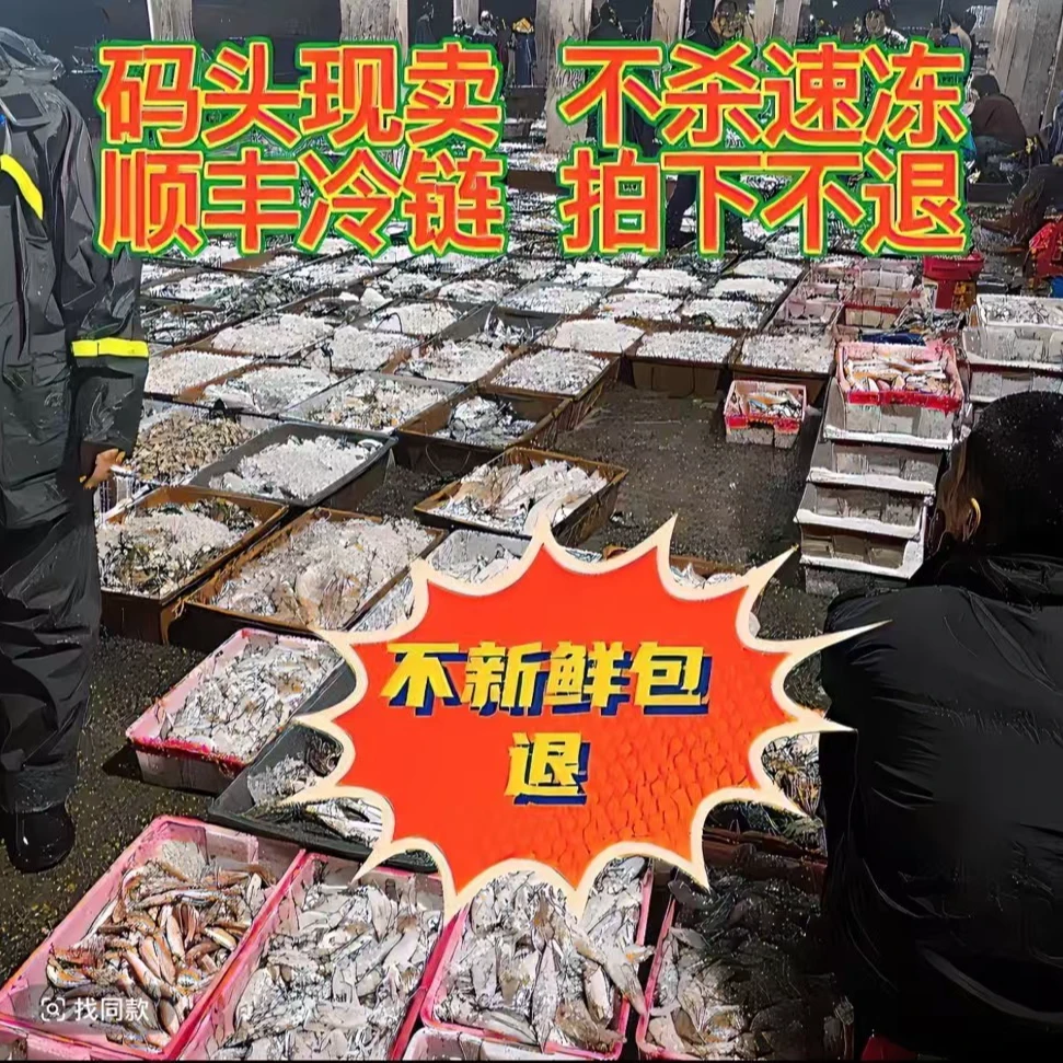 甲子三眼 码头野生海鲜 一斤4只
