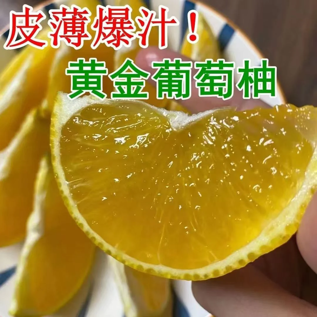 福建黄金葡萄柚爆汁柚薄皮多汁当季新鲜柚子孕妇水果西柚清甜蜜柚