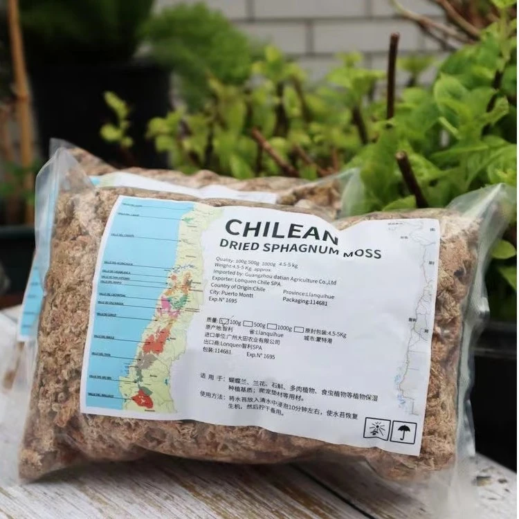 毛毛虫干水苔 水陆缸用作用:保水性 导水性