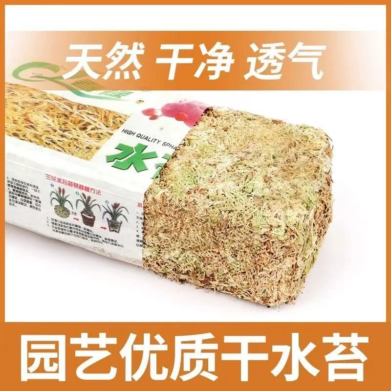 国产干水苔景观用  干水苔作用:保水性 导水性干净