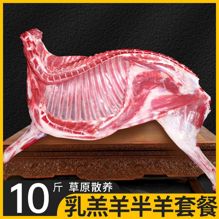 羊肉新鲜乳羔羊半只10斤羊排羊蝎子羊后腿肉生鲜火锅食材