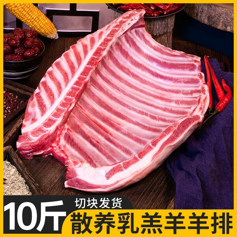 羊排羊肉新鲜手抓肉10斤羔羊肉肋间羊腿蝎子烧烤食材