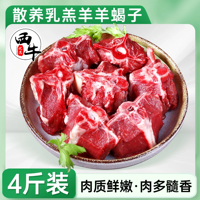 羊蝎子新鲜羊肉散养乳羔羊羊蝎子4斤羊脊骨带肉羊蝎子火锅食材