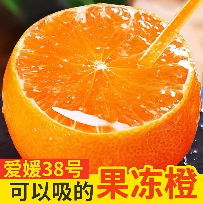 【星选】爱嫒38号果冻橙水果5斤柑橘蜜桔子大果粒橙新鲜橙子包邮