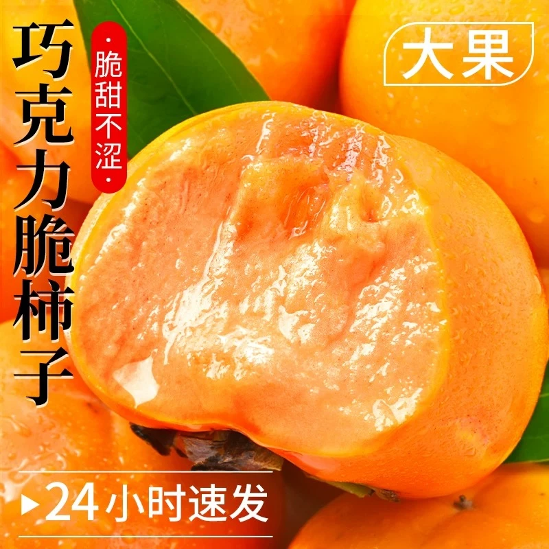 【星选】正宗巧克力脆柿子新鲜水果当季冰糖心甜脆柿子