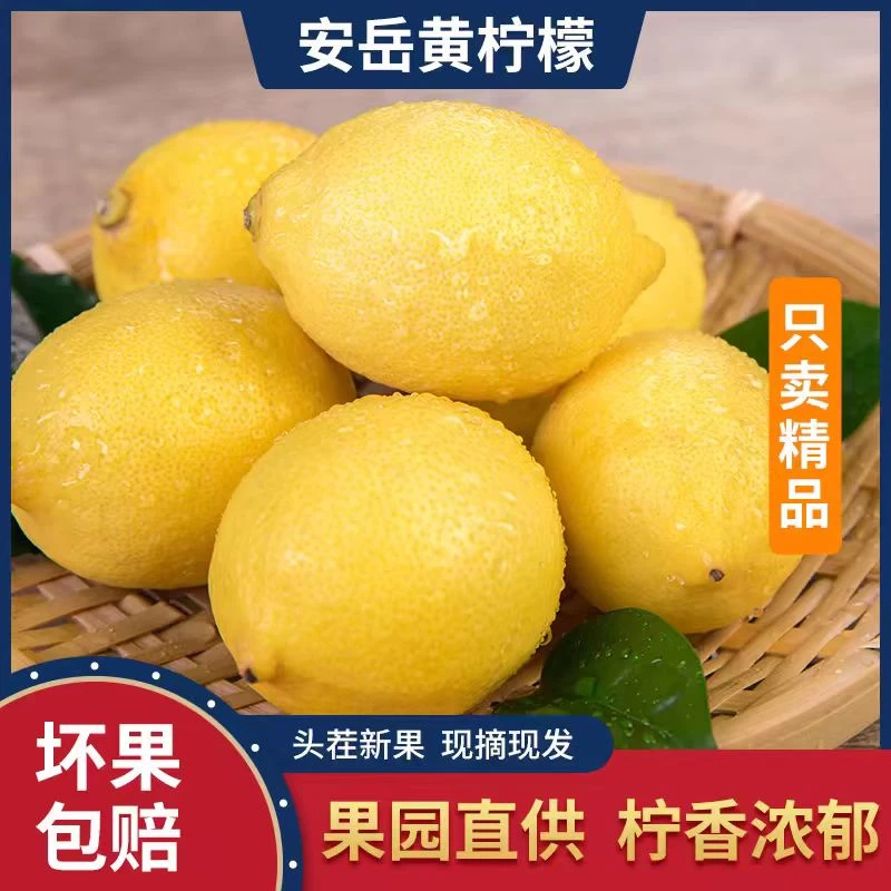 新鲜【安岳柠檬】TC新鲜水果鲜果柠檬鲜采摘现货现发